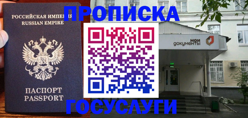 временная регистрация гарантия в Новосибирской области